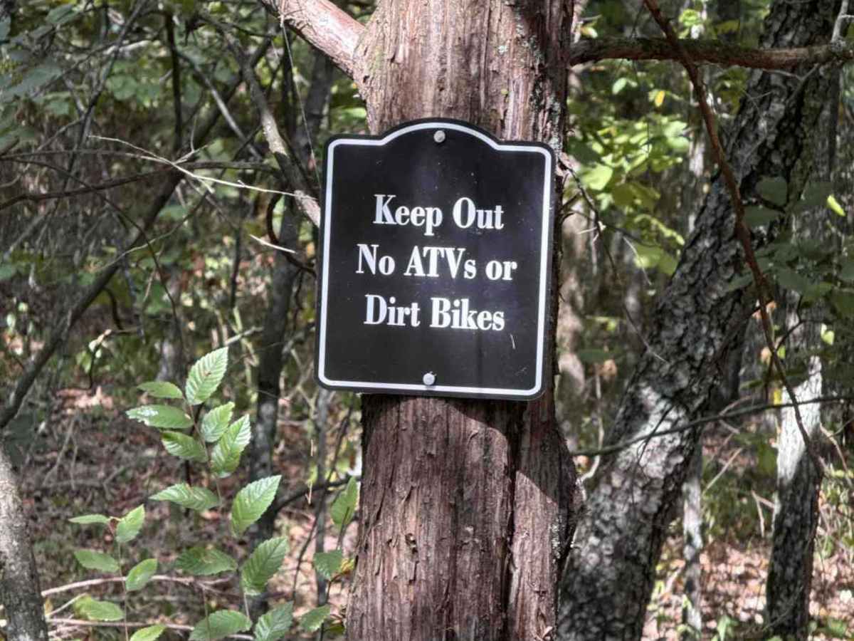 Ohana Trail photo 4