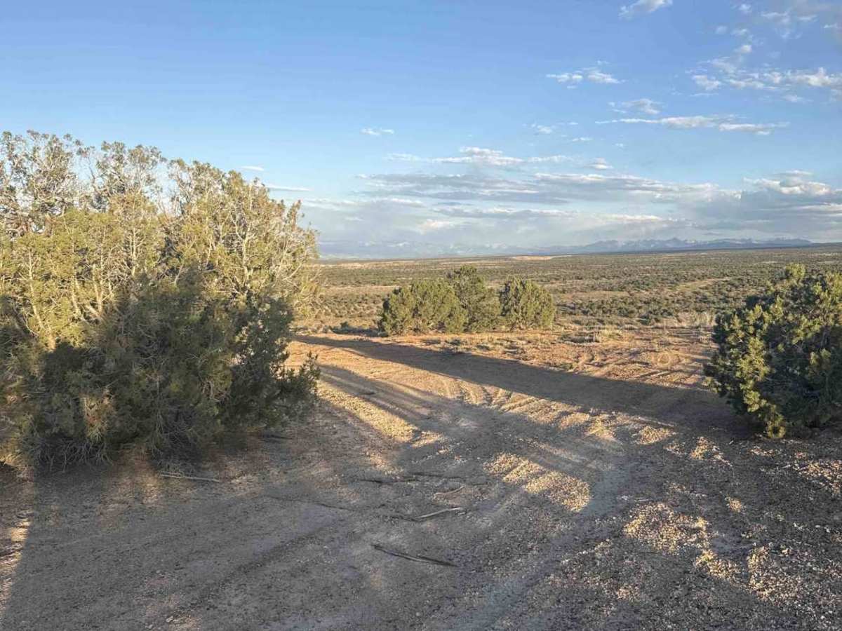West Transfer Road photo 5