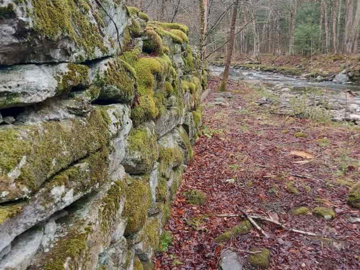 Dunville Hollow Road photo 5
