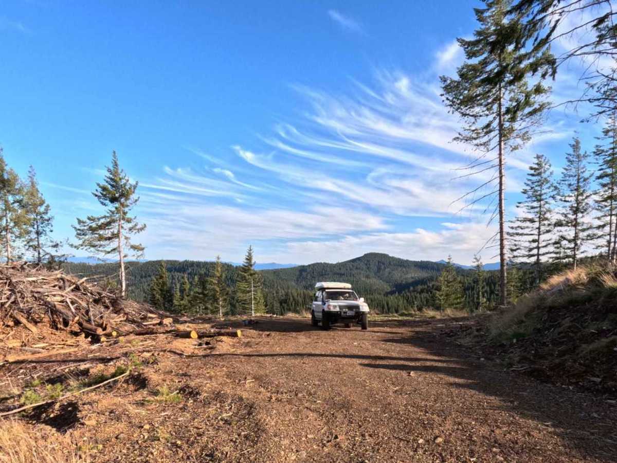 FS 1004147 trail photo