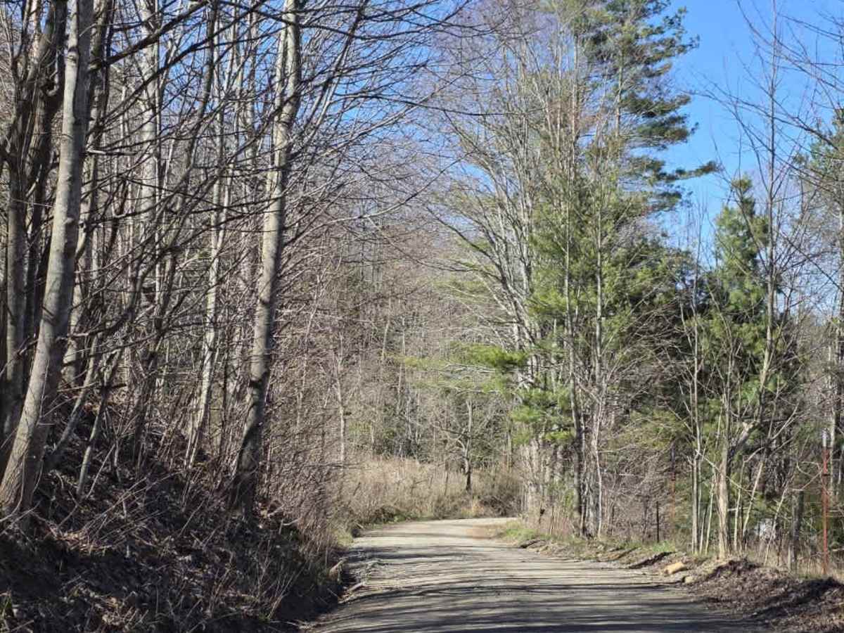 Mount Sterling Road photo 4