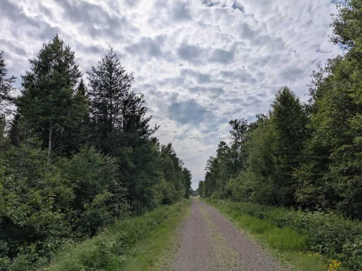 Sonju Lake Road trail photo