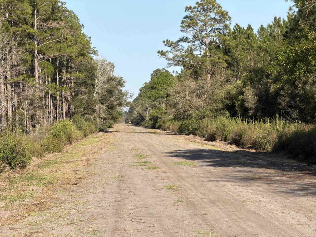 SFR 209 South photo 2