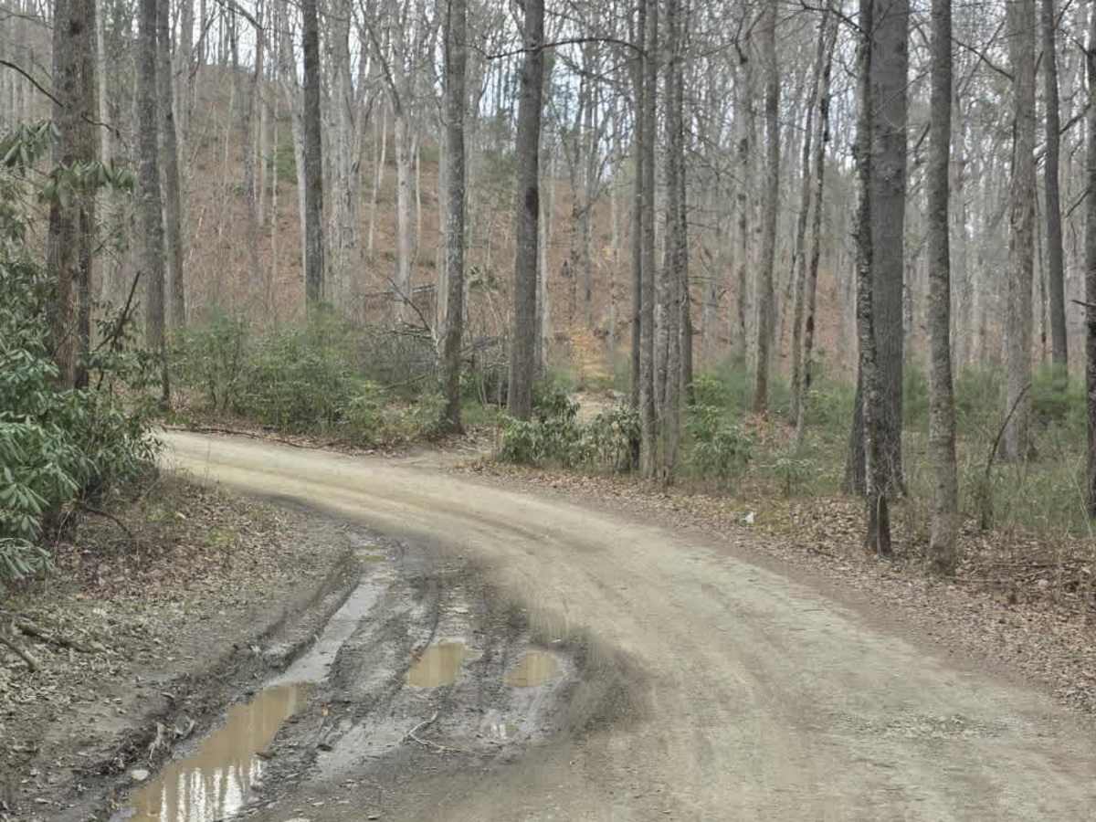 Old Flatwoods photo 3