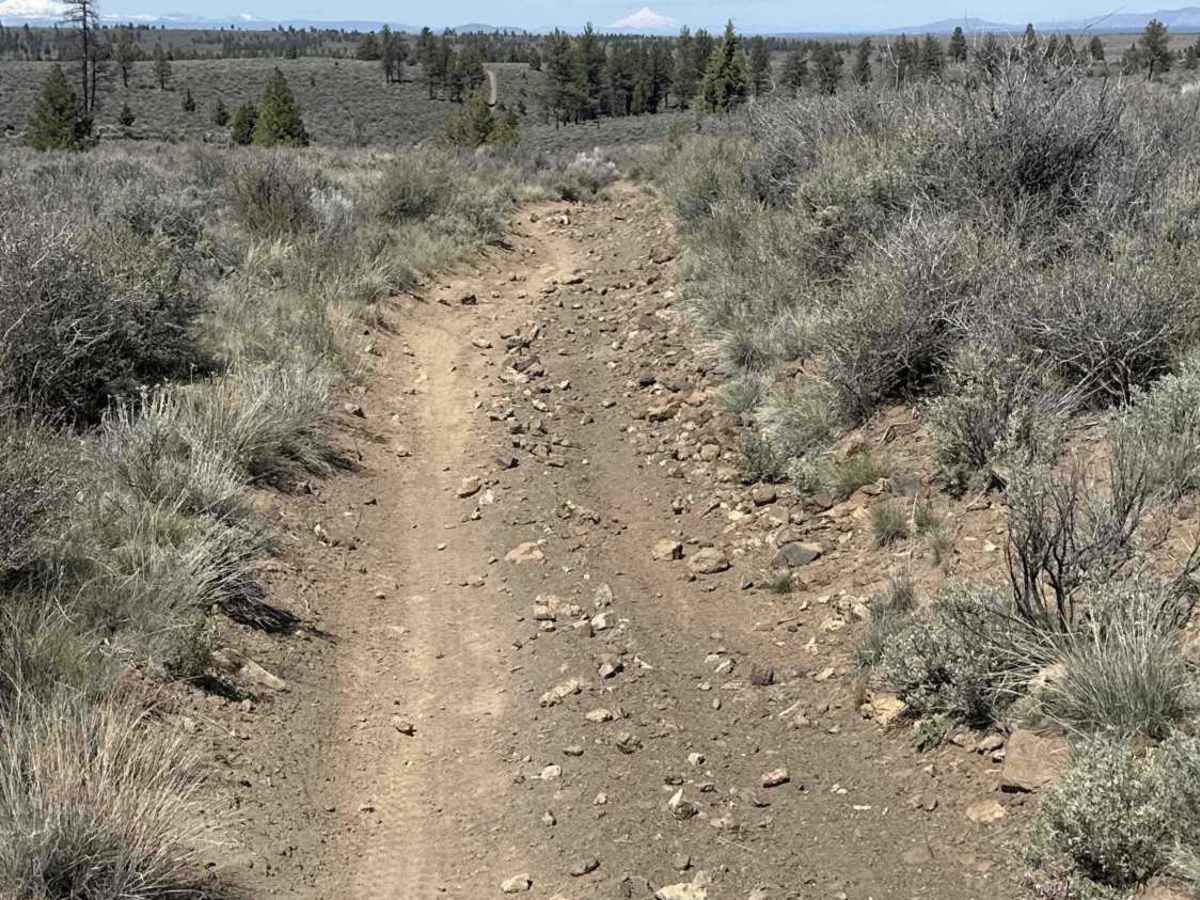 East Fort Rock OHV Trail 25 photo 3