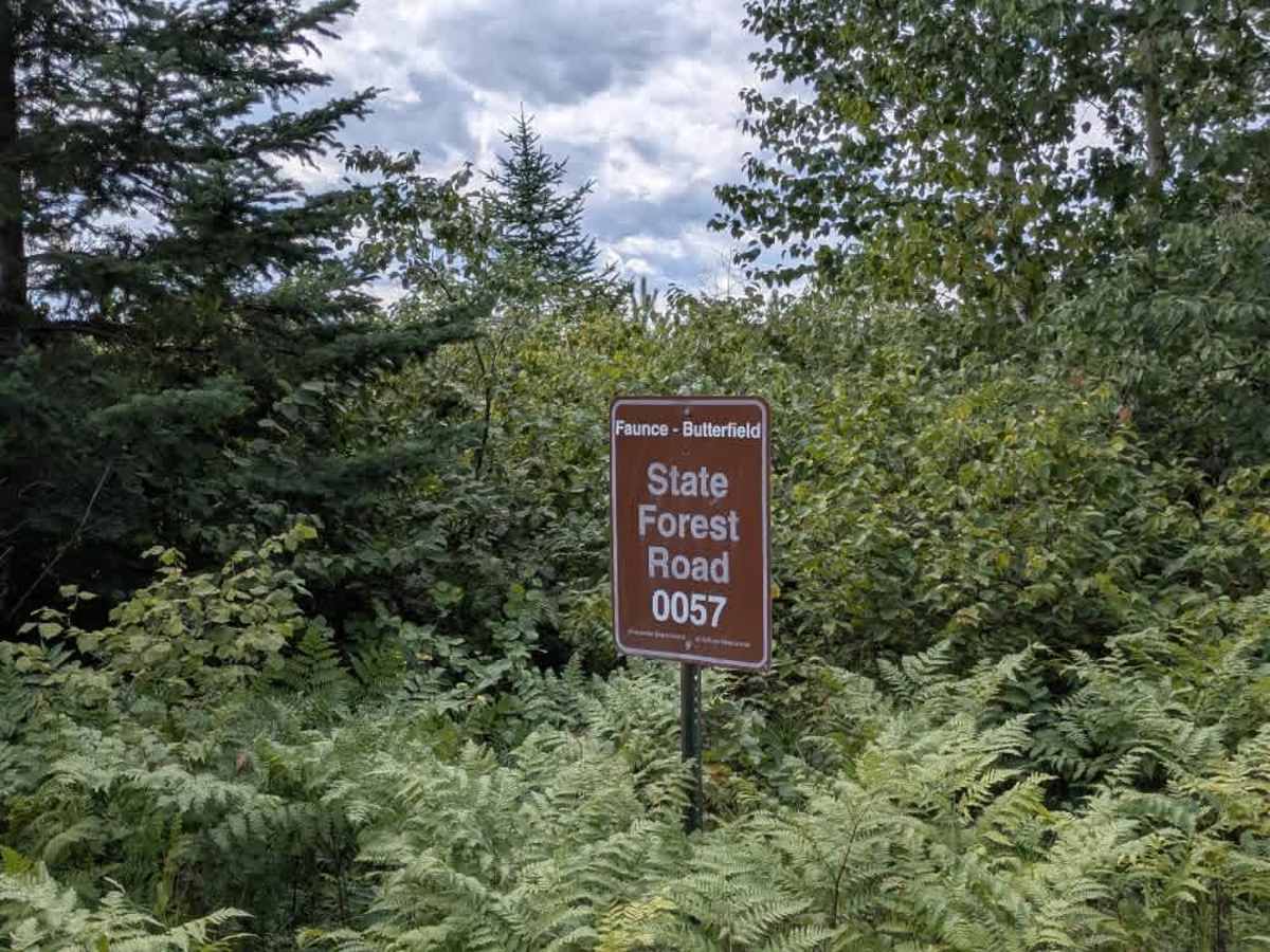Faunce Butterfield Forest Road photo 2