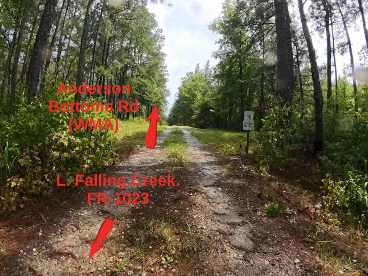 Lower Falling Creek - FS 1023 trail photo