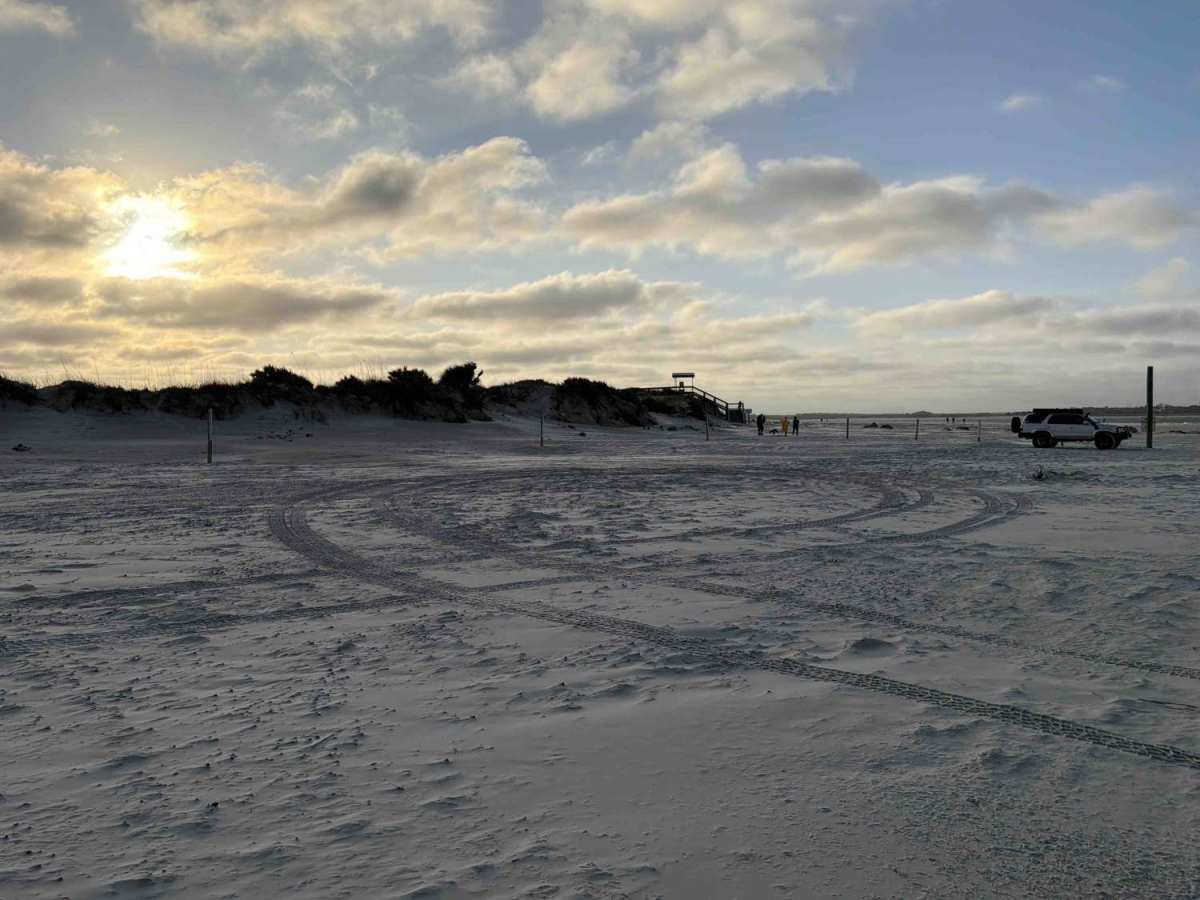 New Smyrna Beach trail photo