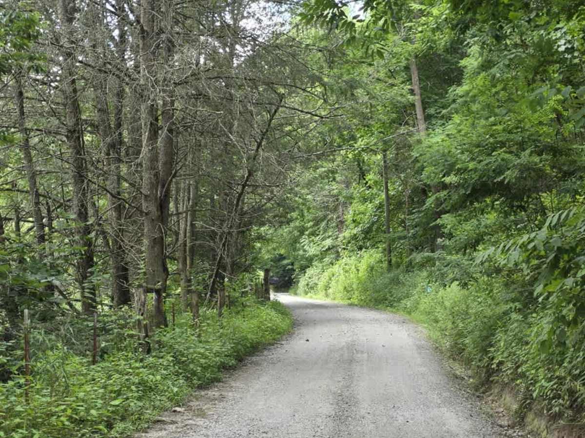 Little Creek Road photo 6