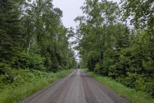 Sawbill Trail