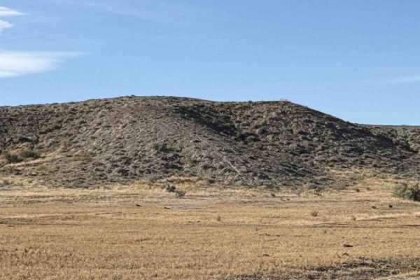 BLM 191