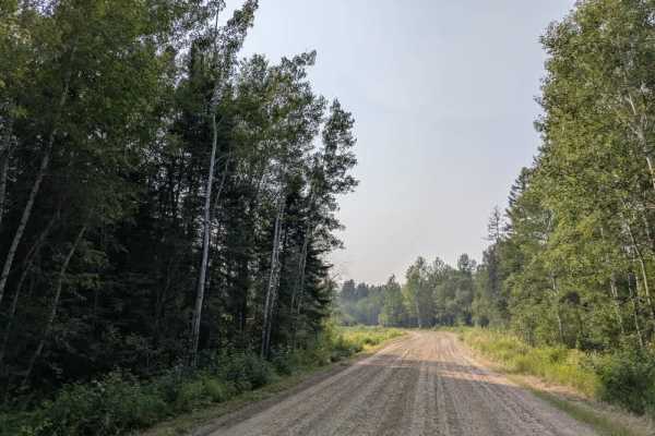 Niles Bay Forest Road