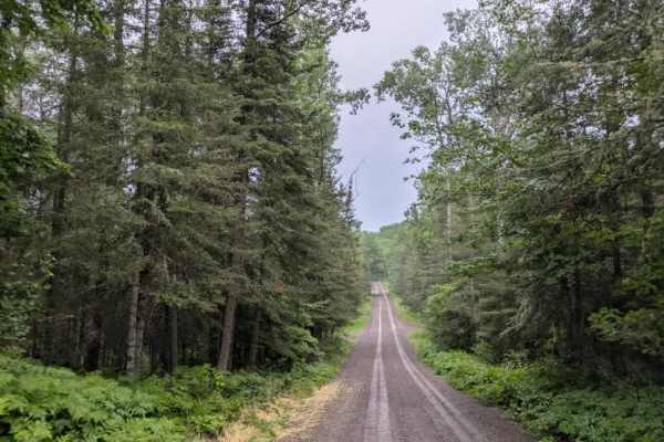 Honeymoon Trail