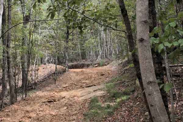 #29 Buck Pass