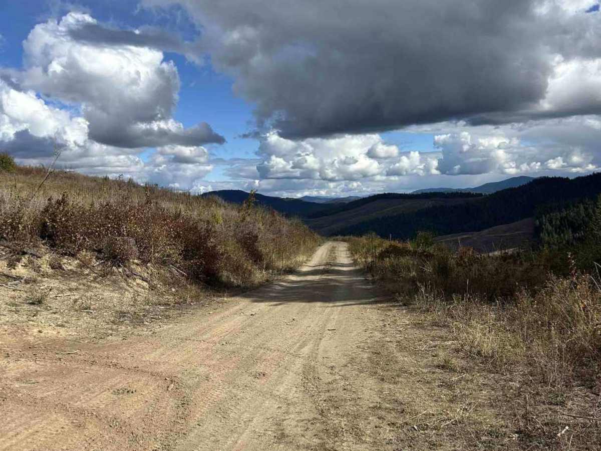 Palouse Divide West - FS 377 trail photo