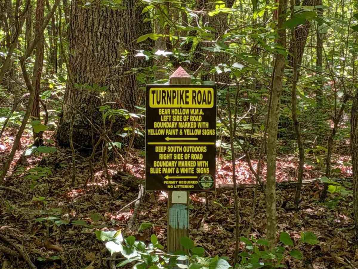 Turnpike Road photo 4