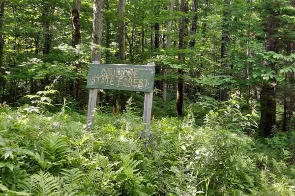 Coolidge State Park Road