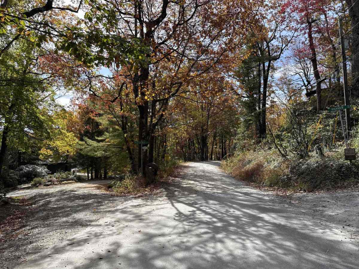 Upper Roses Creek - FS 210 trail photo