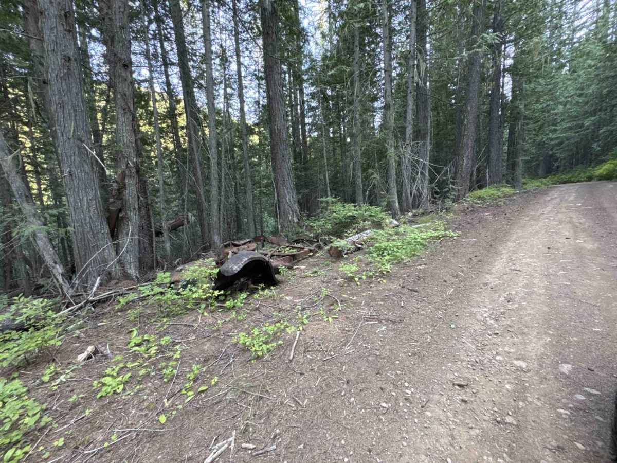 4W-7736 - Big Flat Trail photo 5