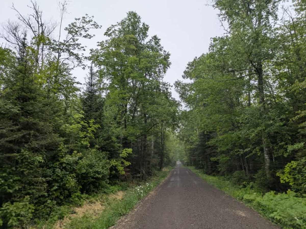 Honeymoon Trail photo 4
