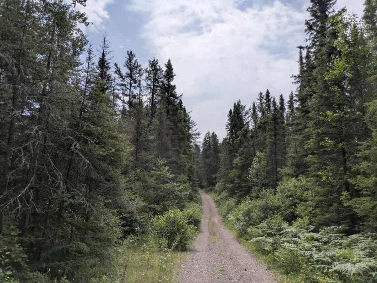 Tomlinson Lake Trail photo 3
