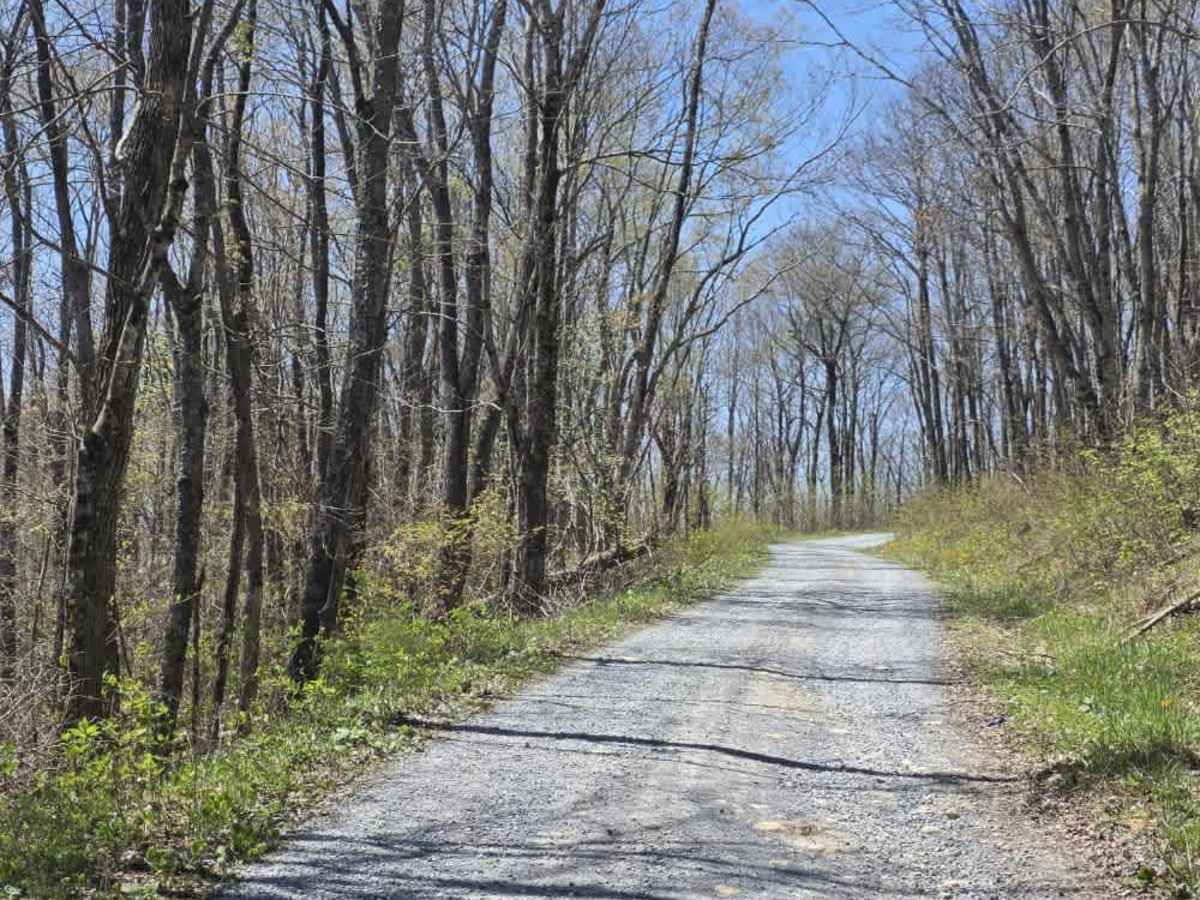 Holston Mountain Trail trail photo