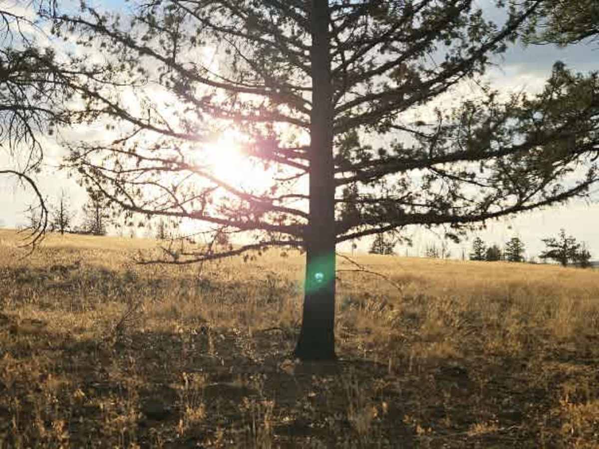 FS 5800800 photo 6