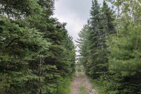 McDougal Lake Spur
