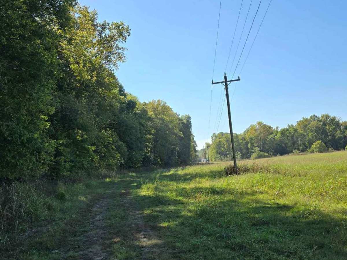 Lower Field Trail photo 3