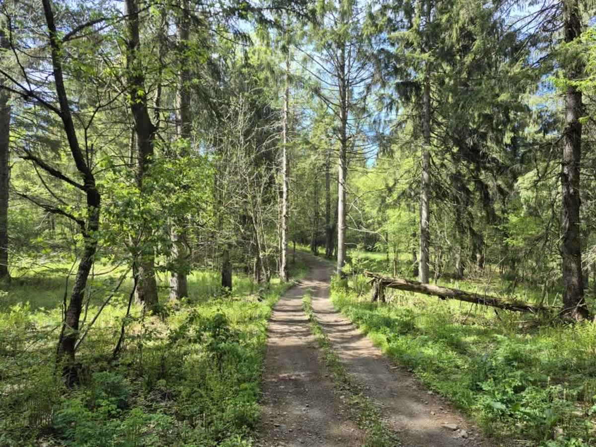 Lower Forks-Factory Trail photo 4