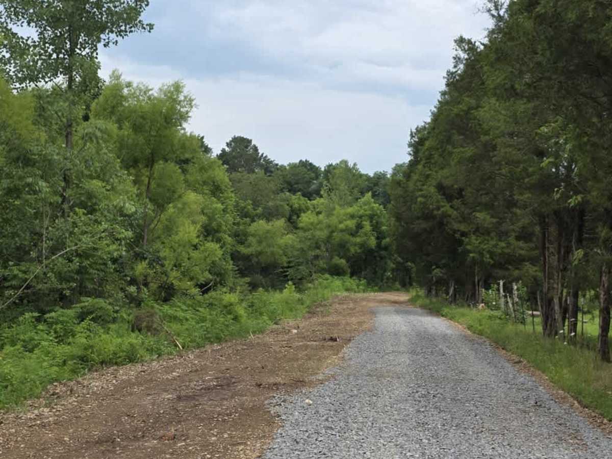 Wix Hollow Road - Macon County Tour photo 5