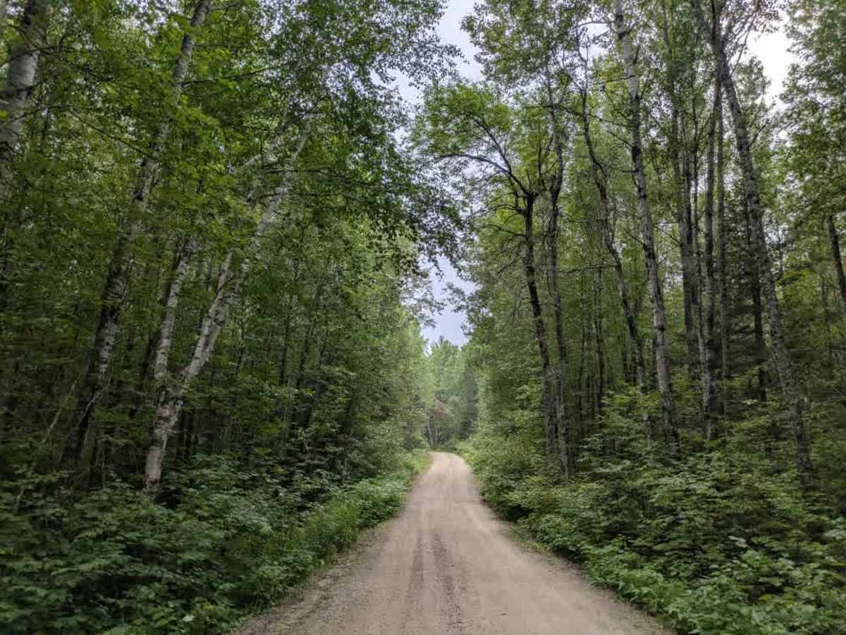 Johnson Lake photo 6