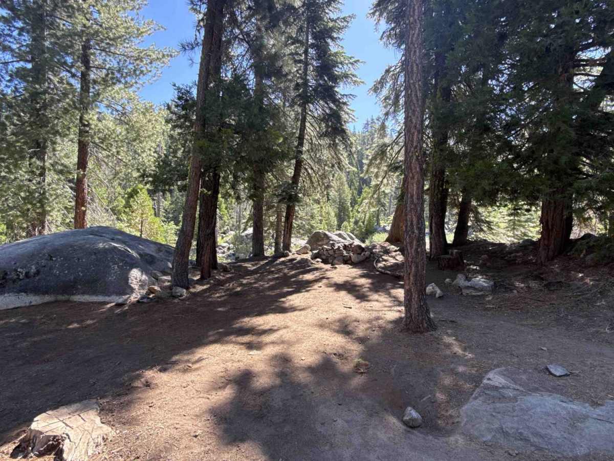 FS 3N29 trail photo