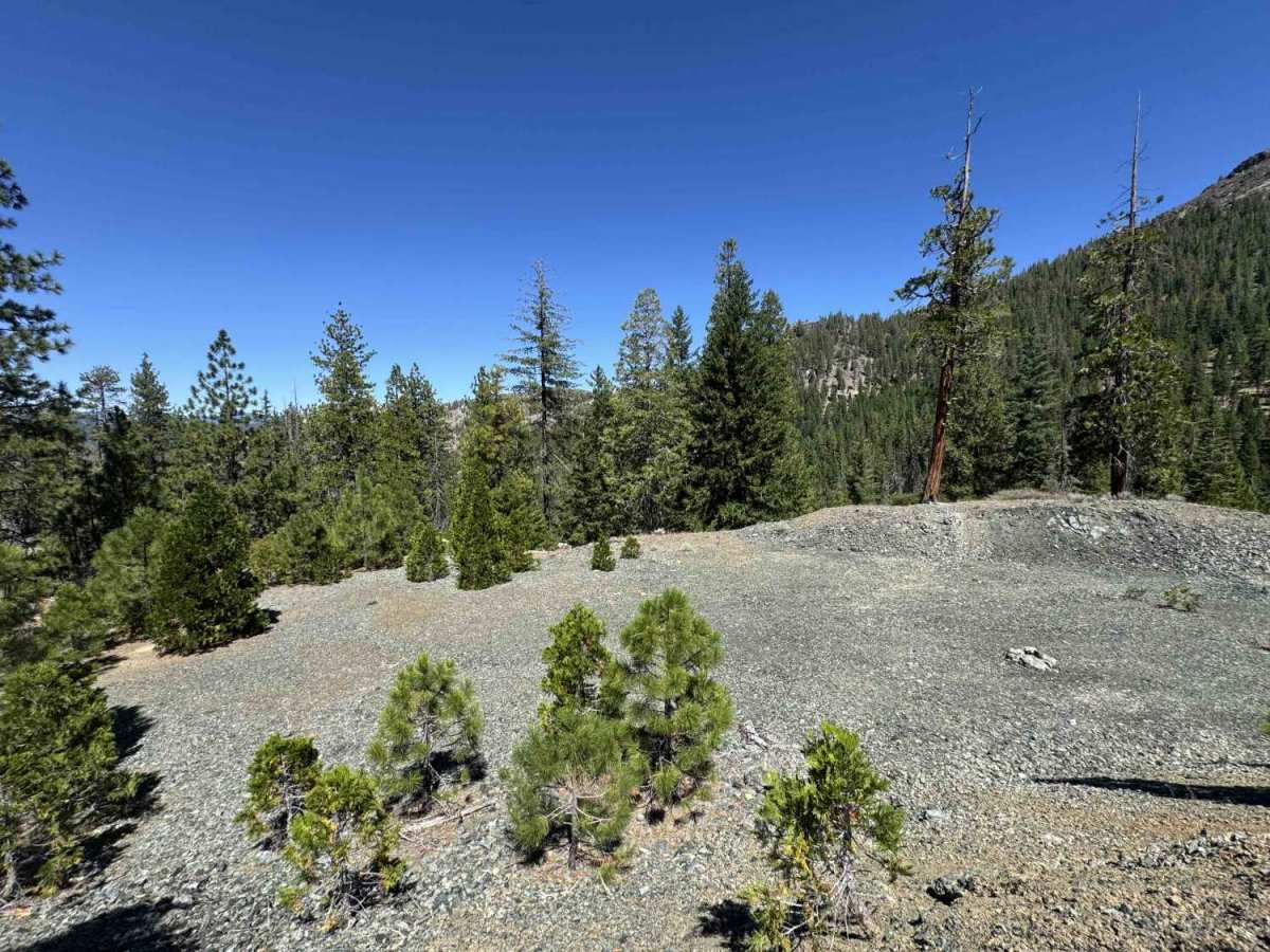 Kangaroo Creek - FS 40N08 photo 4