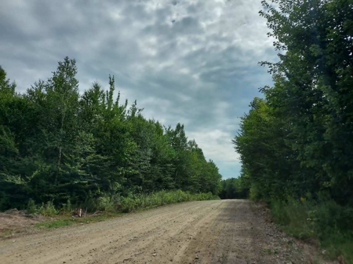 Duck Pond Road trail photo