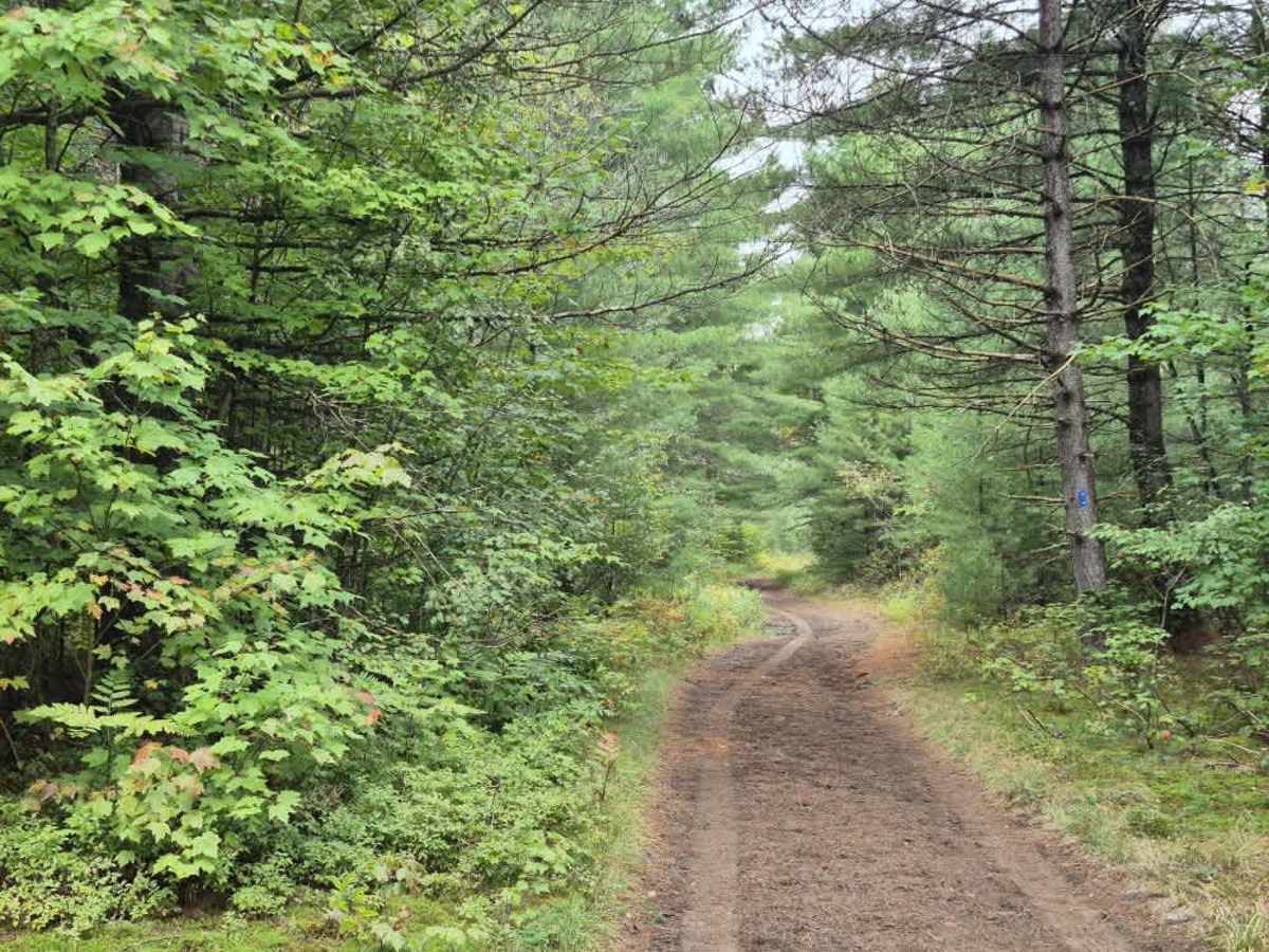 Shortcut Road photo 4