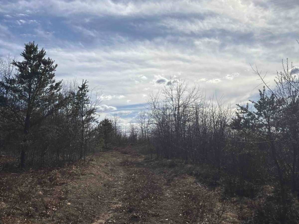 Lewiston Grade Spur photo 2