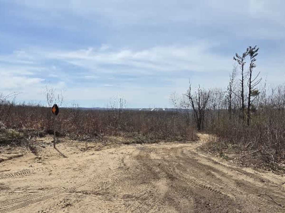 Holms Road photo 2