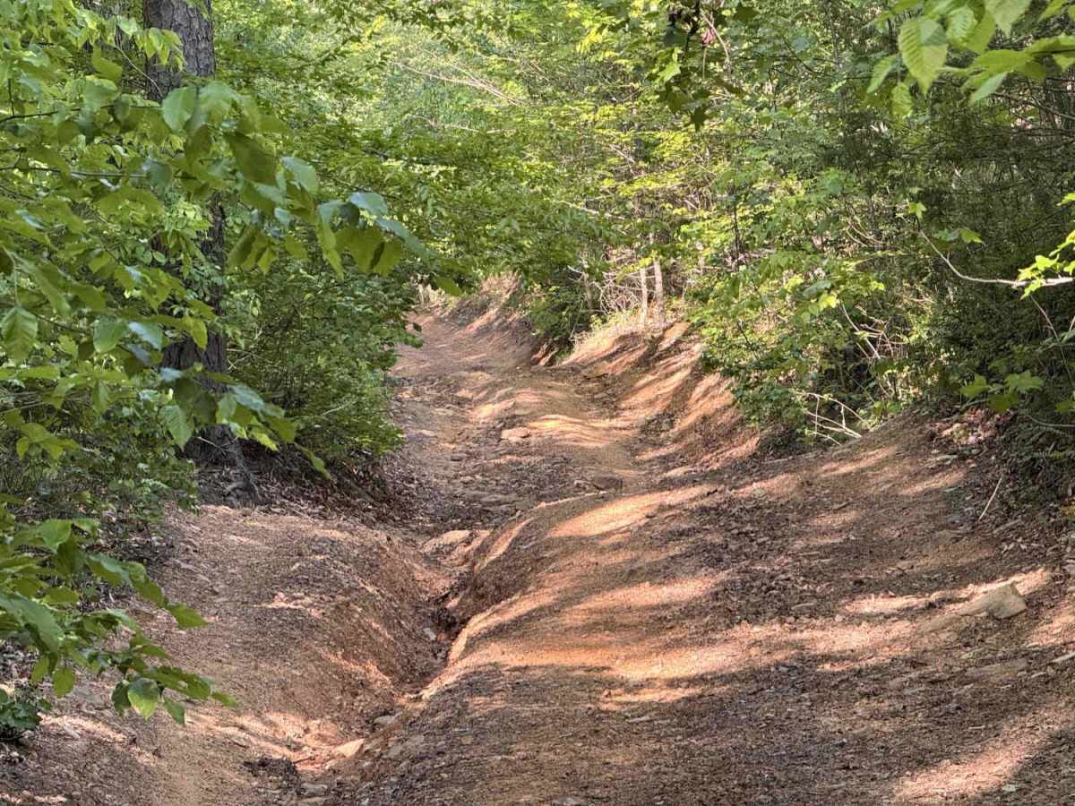 Dripping Springs photo 4