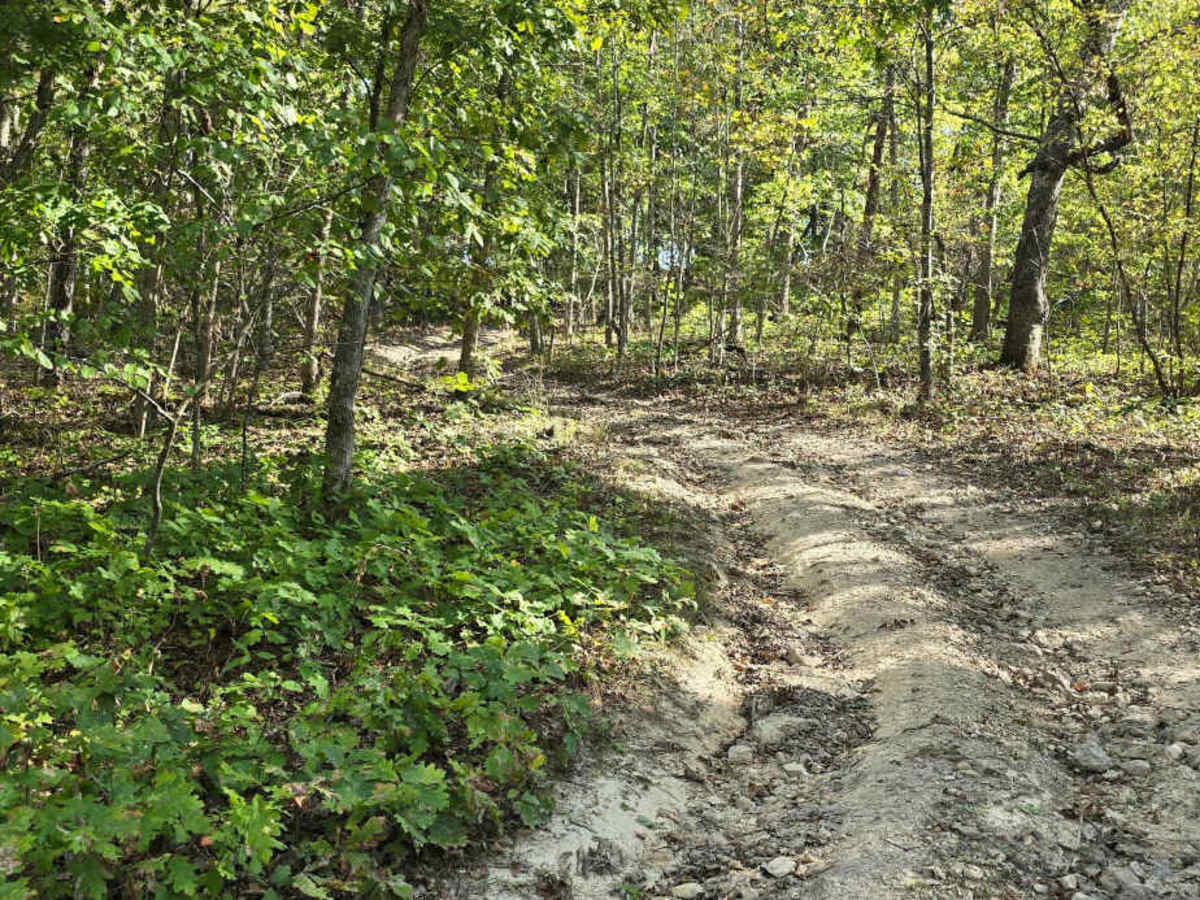 Easy Does It Trail photo 2