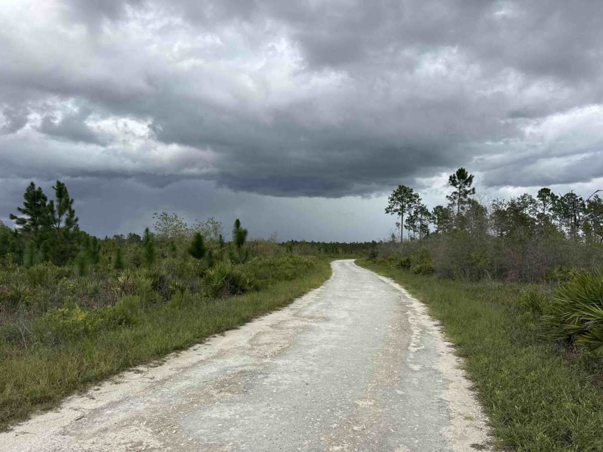 East V Road photo 2