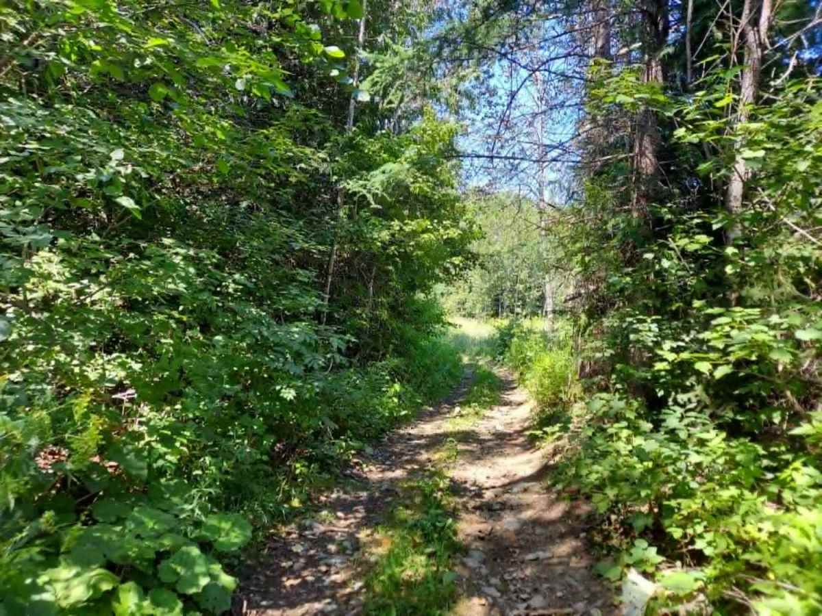Lower Mars Mountain Loop photo 3