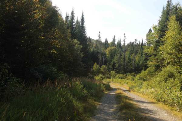 Rump Mountain Trail