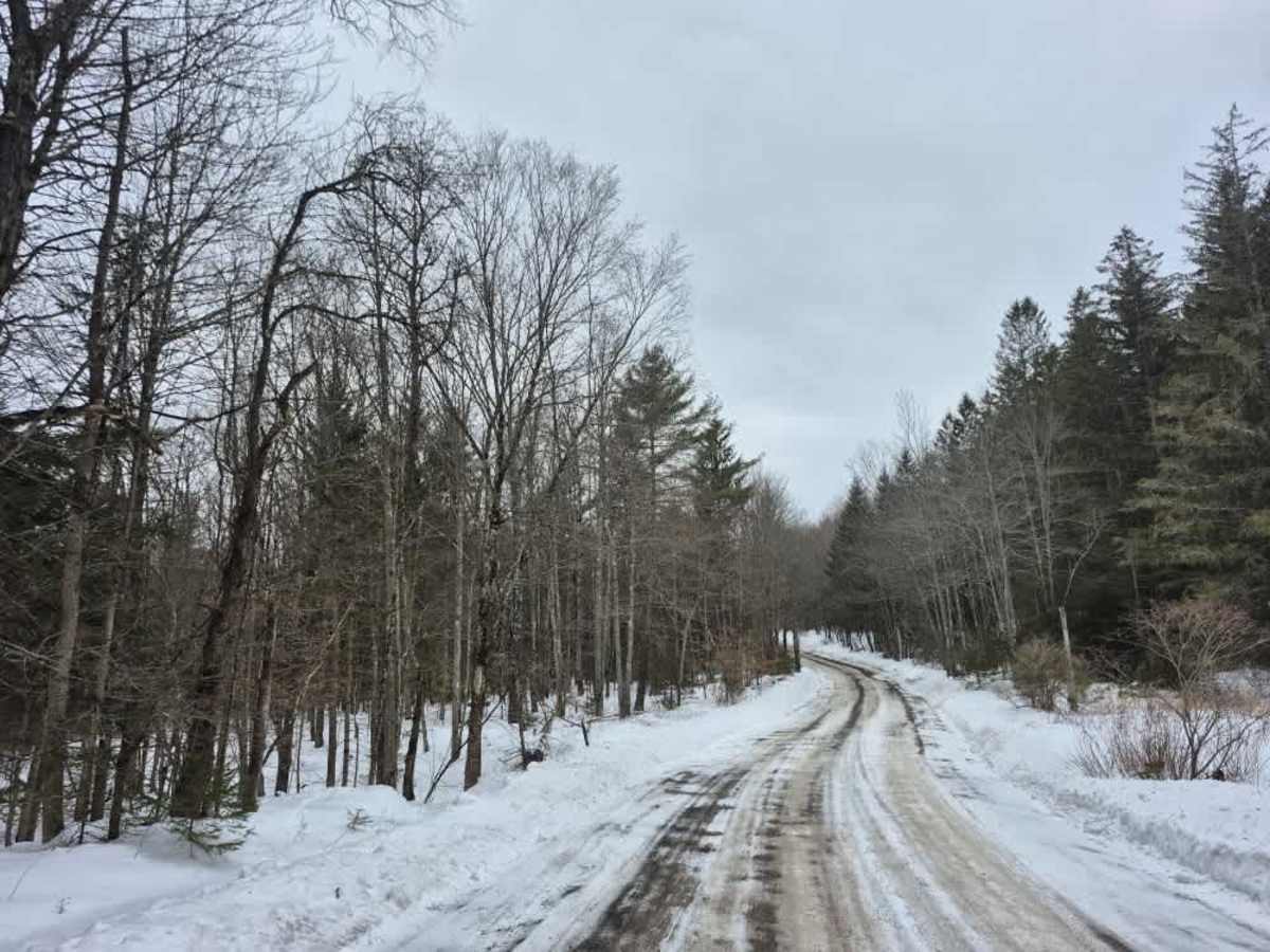 Cook Hill Road trail photo
