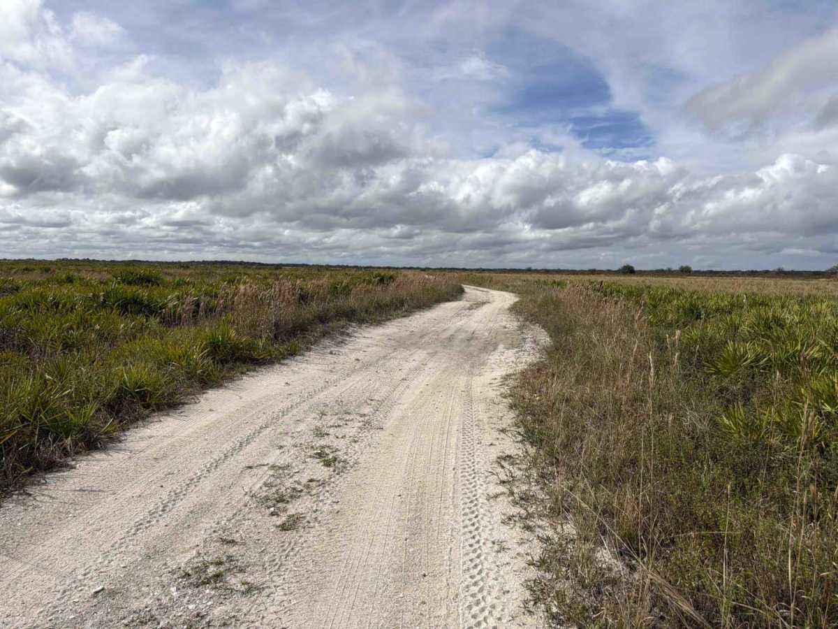 Road 8 Loop - Three Lakes WMA photo 5