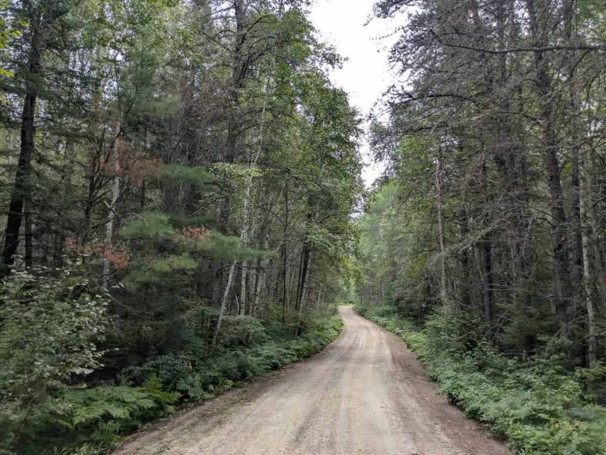 Johnson Lake trail photo
