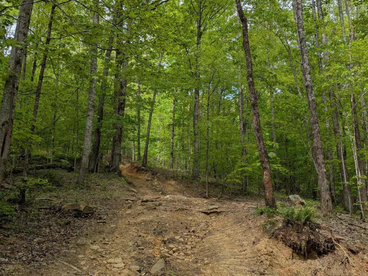 Trail 14 photo 2