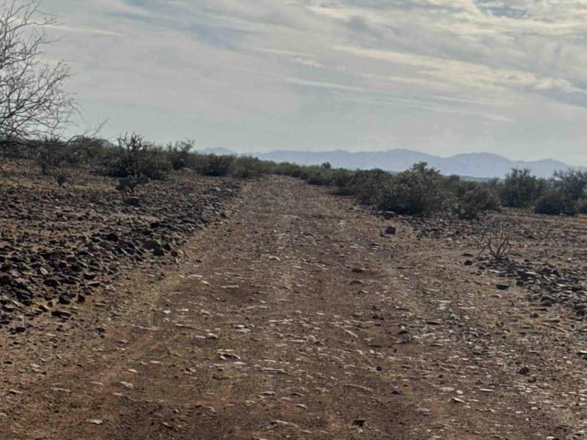 Trail of Opportunity  photo 2