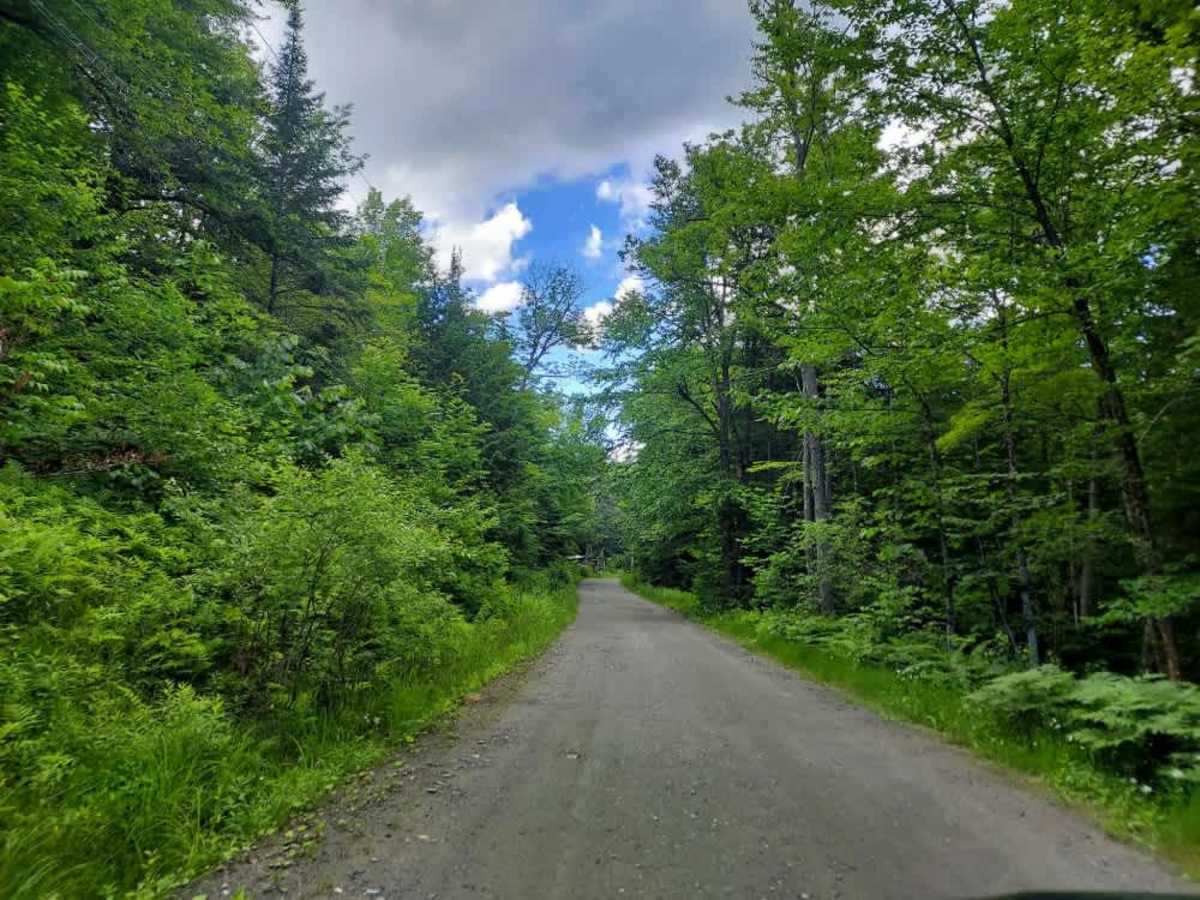 Brown Schoolhouse Road  photo 4
