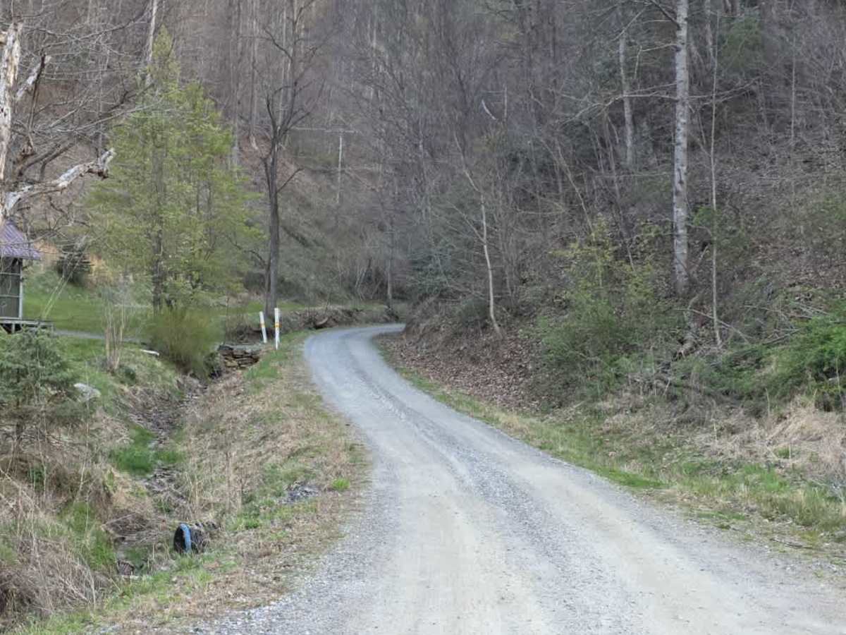 Sams Branch Road photo 6